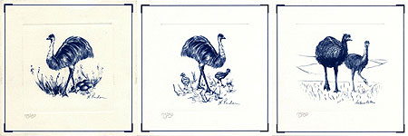 Three Emu Prints